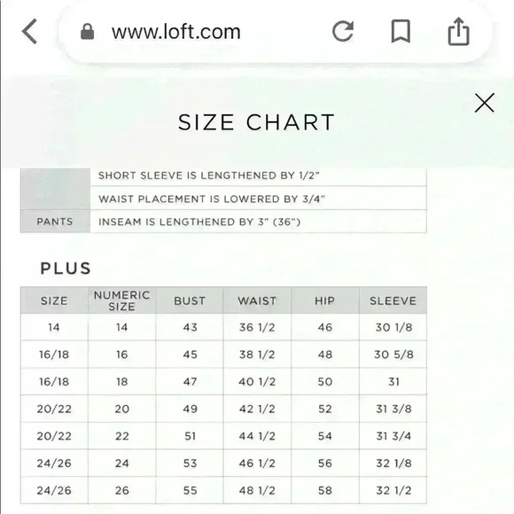 NWT LOFT Faux Leather Pants – Chic, Stylish, Versatile, Perfect for Day or Night - Picture 12 of 12